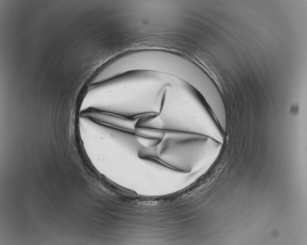 X0000116810301201001151149