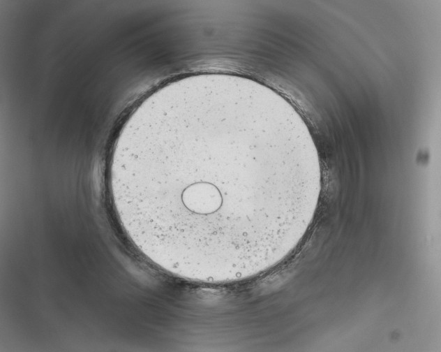 X0000116810302201001151149