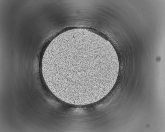 X0000116810303201001151149