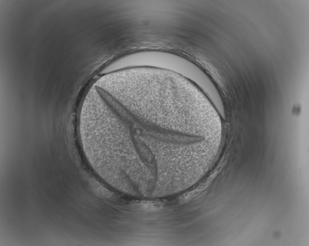 X0000116810305201001151149