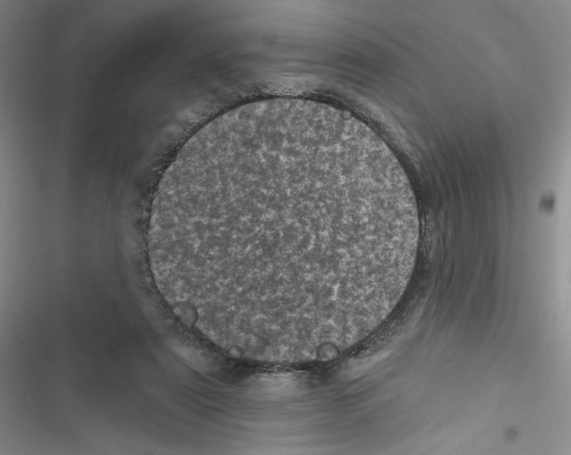 X0000116810307201001151149