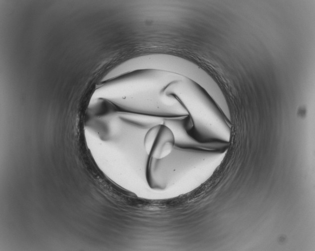 X0000116810308201001151149