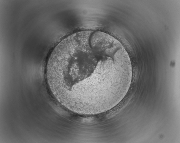 X0000116810309201001151149