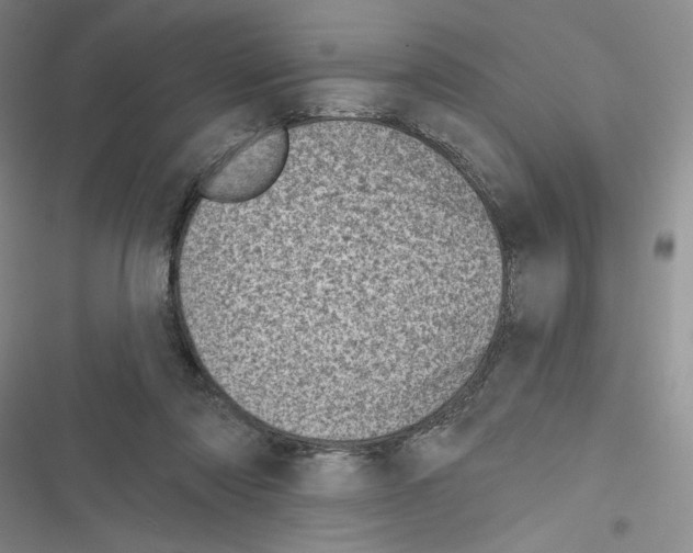 X0000116810310201001151149