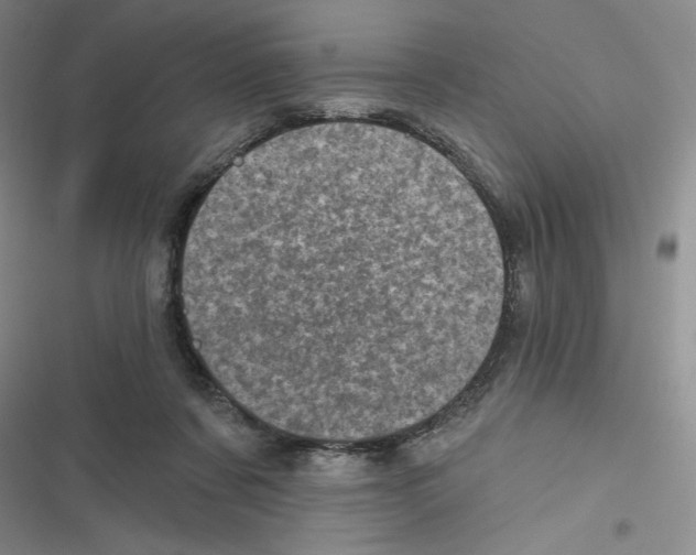 X0000116810311201001151149