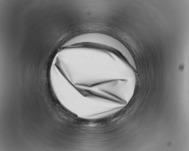X0000116810312201001151149