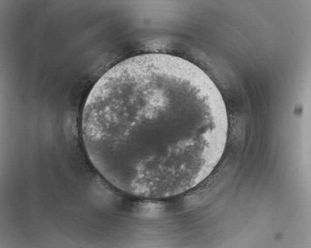 X0000116810313201001151149