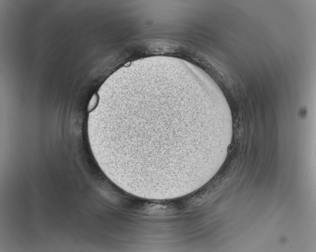X0000116810315201001151149