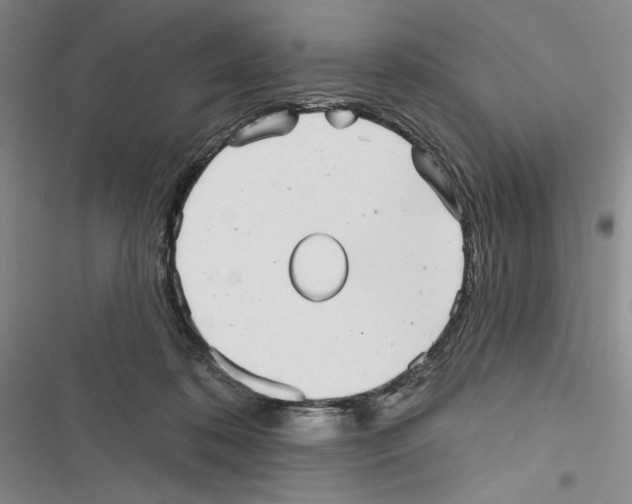 X0000116810316201001151149