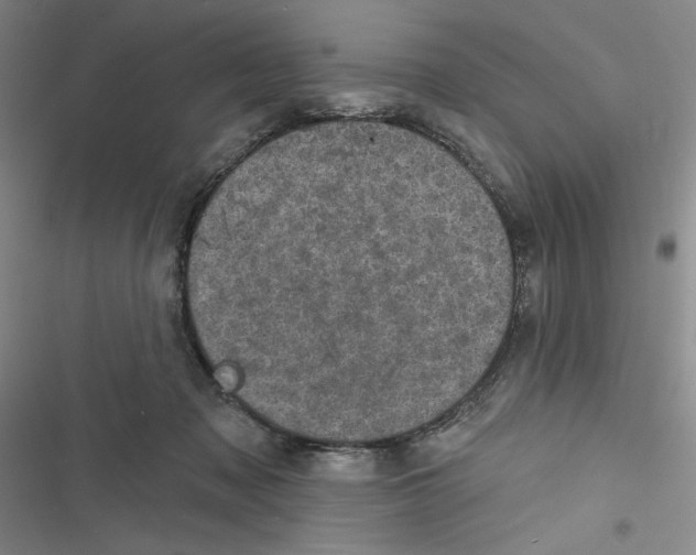 X0000116810317201001151149
