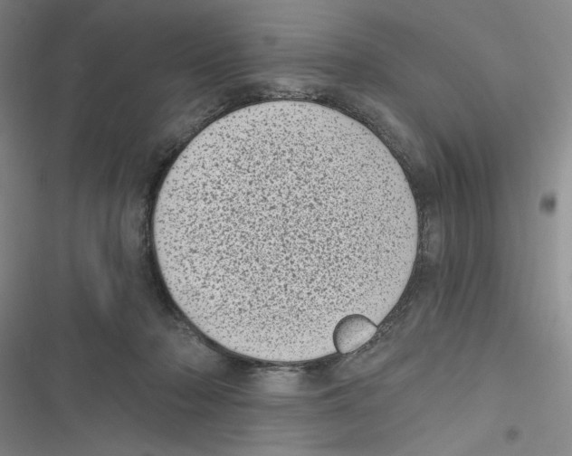 X0000116810318201001151149
