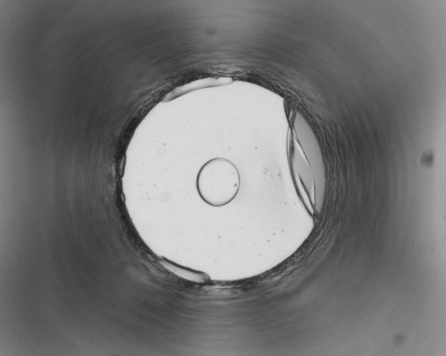 X0000116810320201001151149