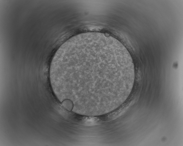 X0000116810321201001151149