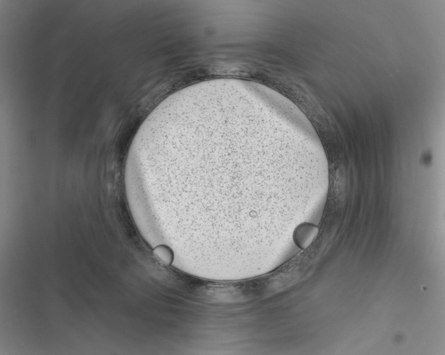 X0000116810322201001151149