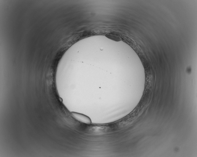 X0000116810323201001151149