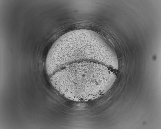 X0000116810324201001151149