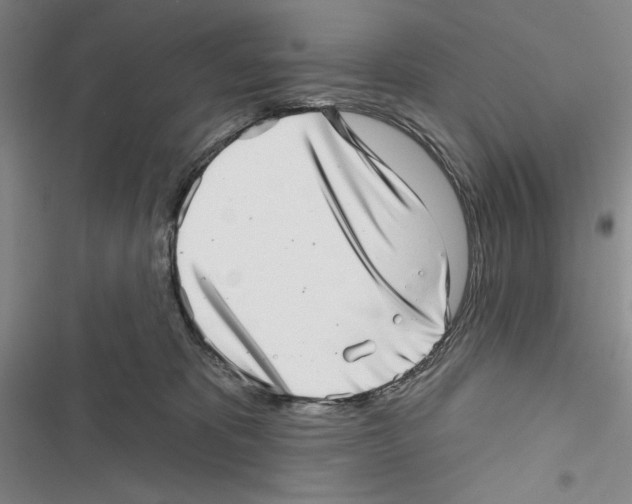 X0000116810325201001151149