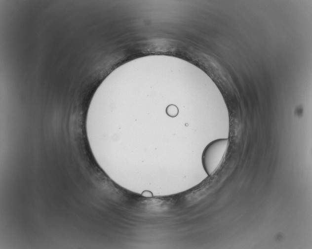 X0000116810326201001151149