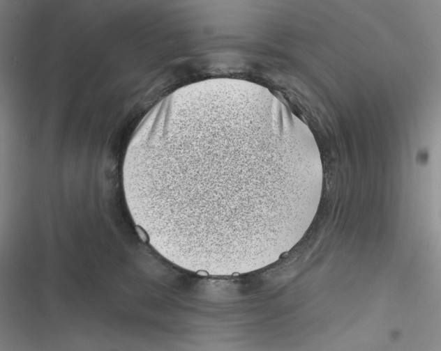 X0000116810327201001151149