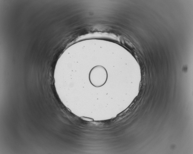 X0000116810328201001151149