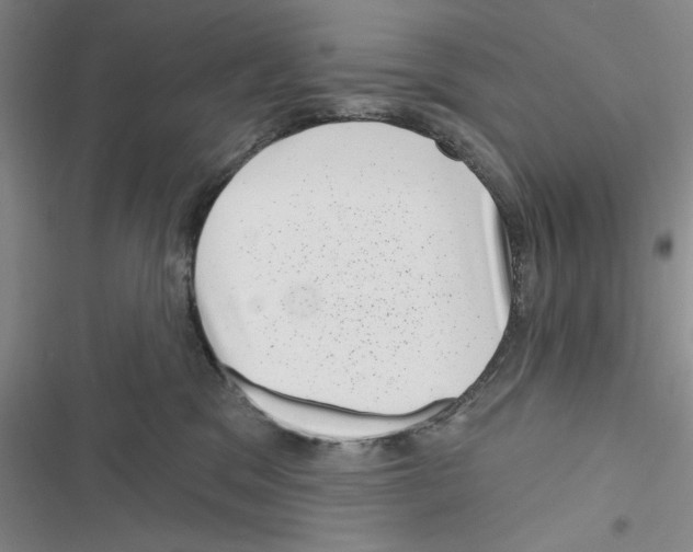 X0000116810329201001151149