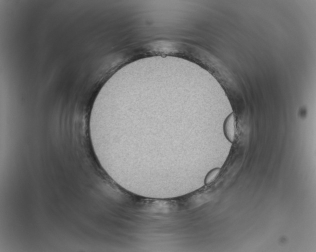 X0000116810330201001151149