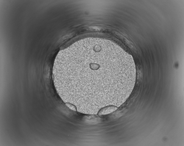 X0000116810331201001151149