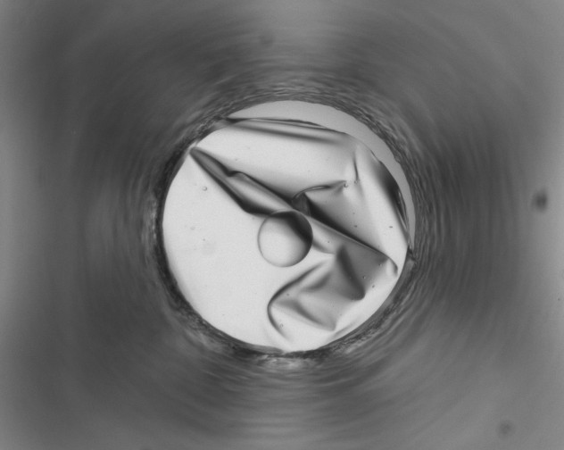 X0000116810332201001151149