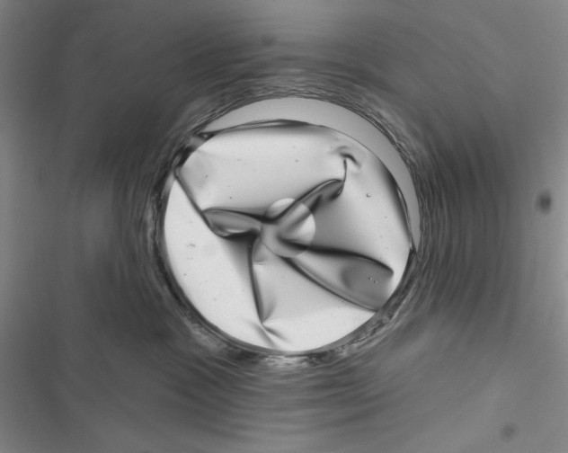 X0000116810333201001151149