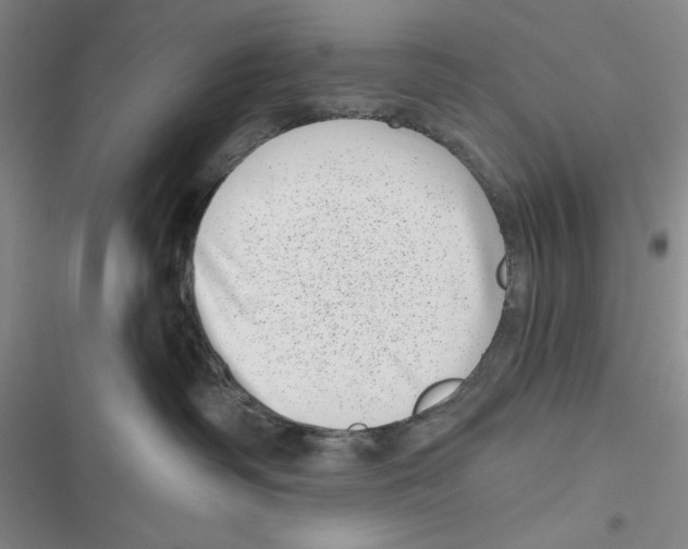 X0000116810334201001151149
