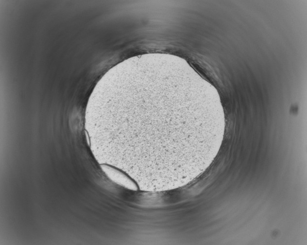 X0000116810335201001151149