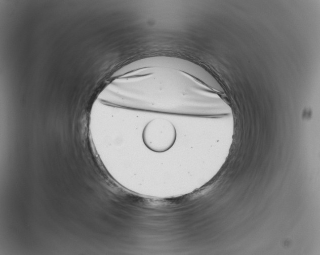 X0000116810336201001151149