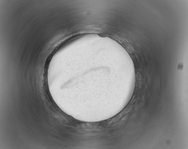 X0000116810338201001151148