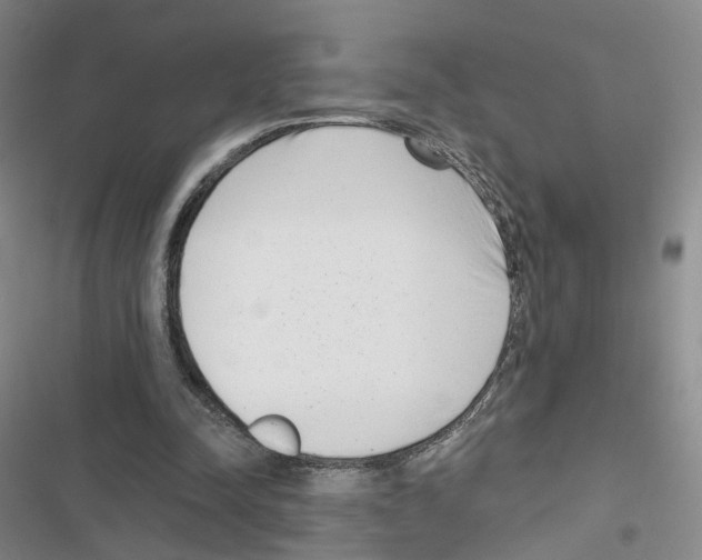 X0000116810342201001151148
