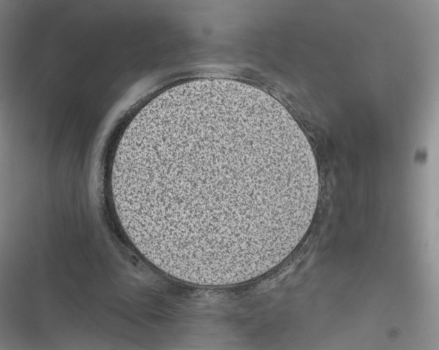 X0000116810343201001151148