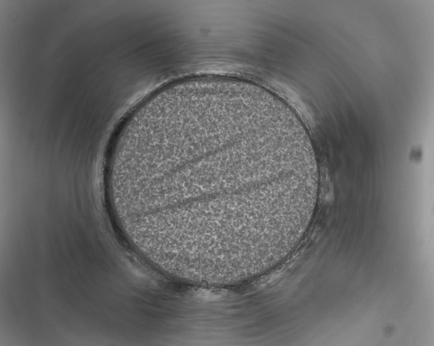 X0000116810346201001151148