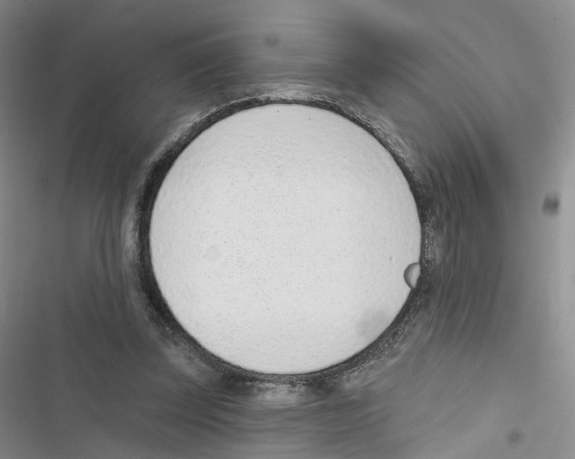 X0000116810347201001151148