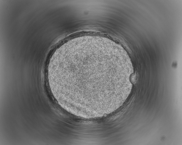 X0000116810349201001151148