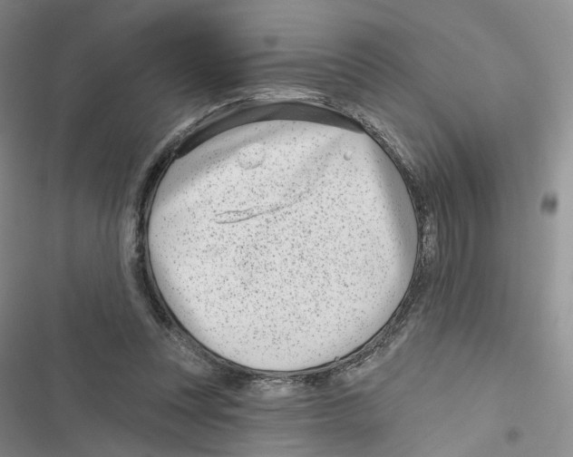 X0000116810351201001151148