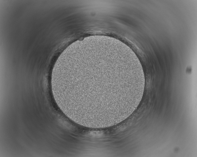 X0000116810353201001151148