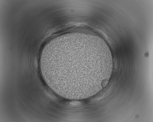 X0000116810357201001151148