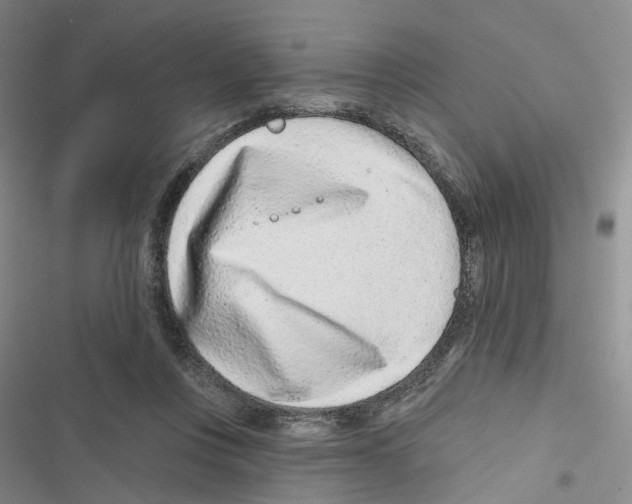 X0000116810359201001151148