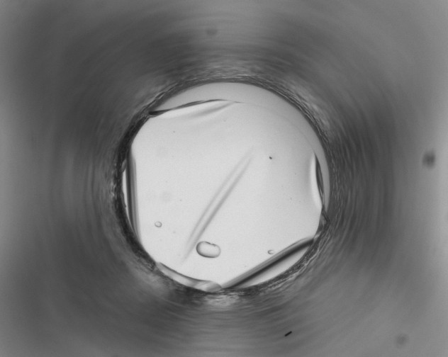 X0000116810362201001151148