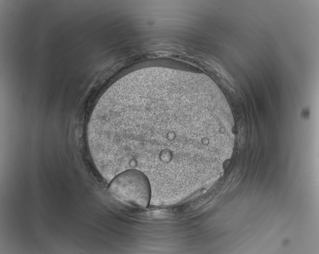 X0000116810365201001151148