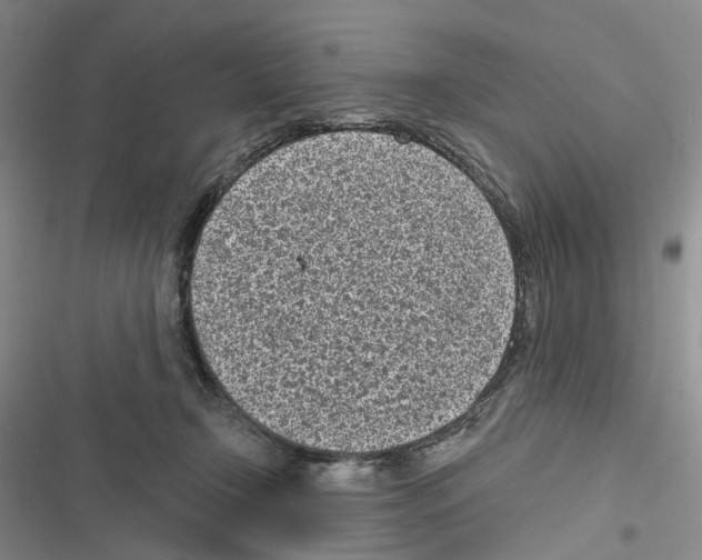 X0000116810366201001151148