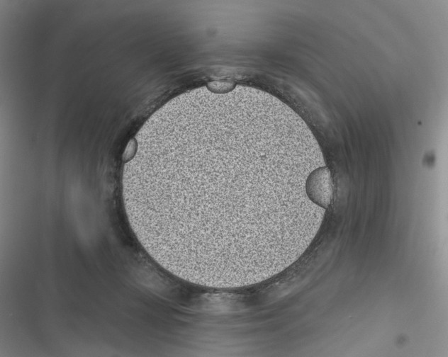 X0000116810367201001151149