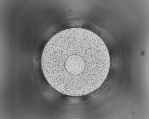 X0000116810370201001151149