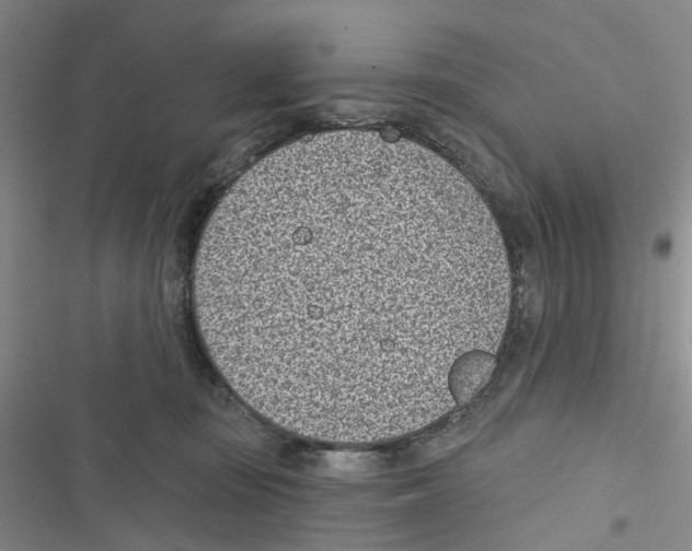 X0000116810371201001151149