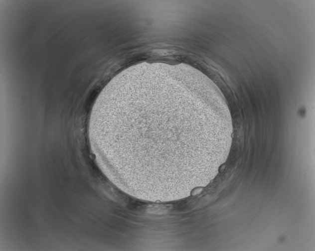 X0000116810373201001151149