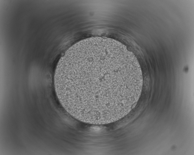 X0000116810375201001151149